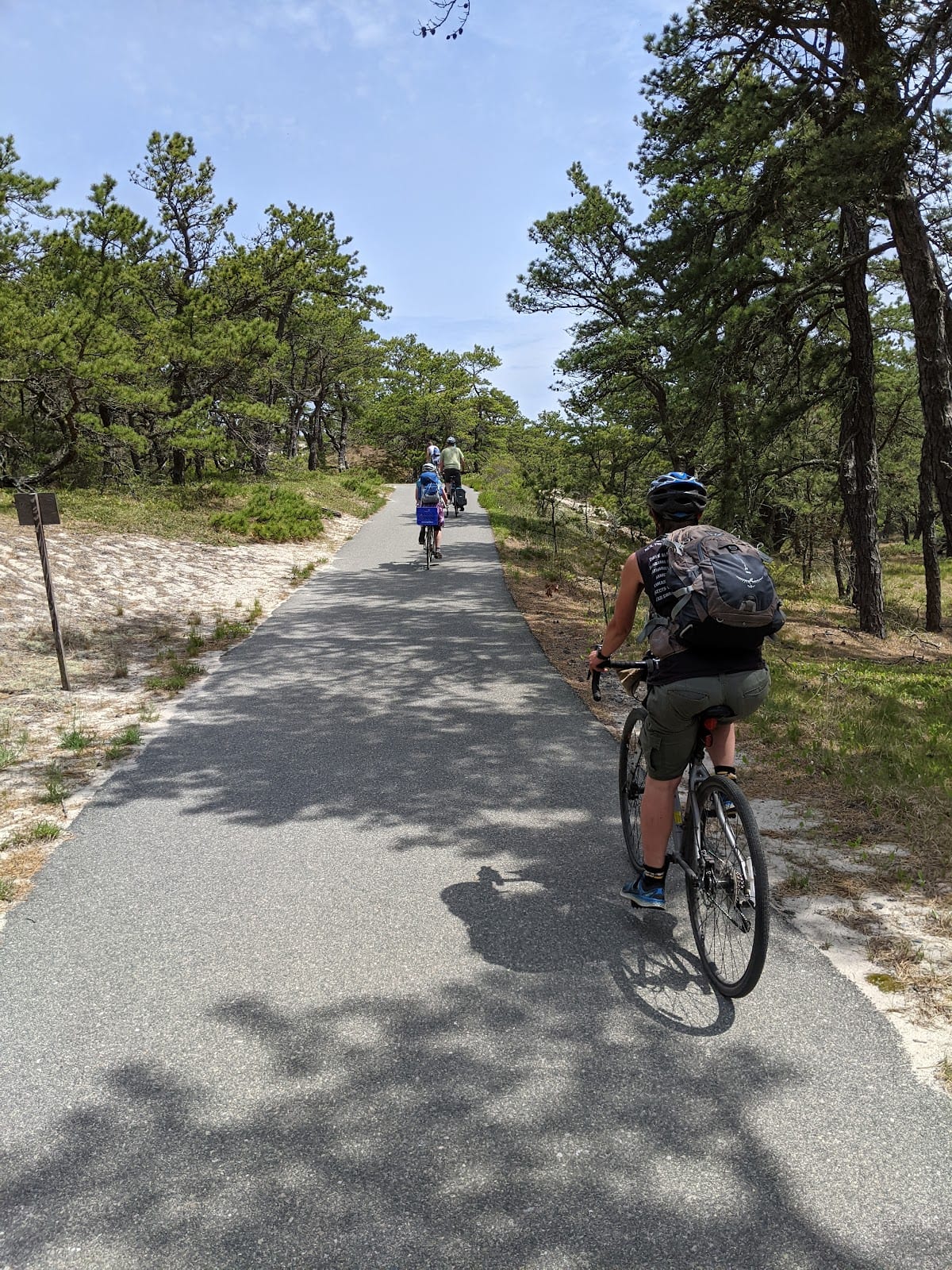 Province Lands Bike Trail in Provincetown