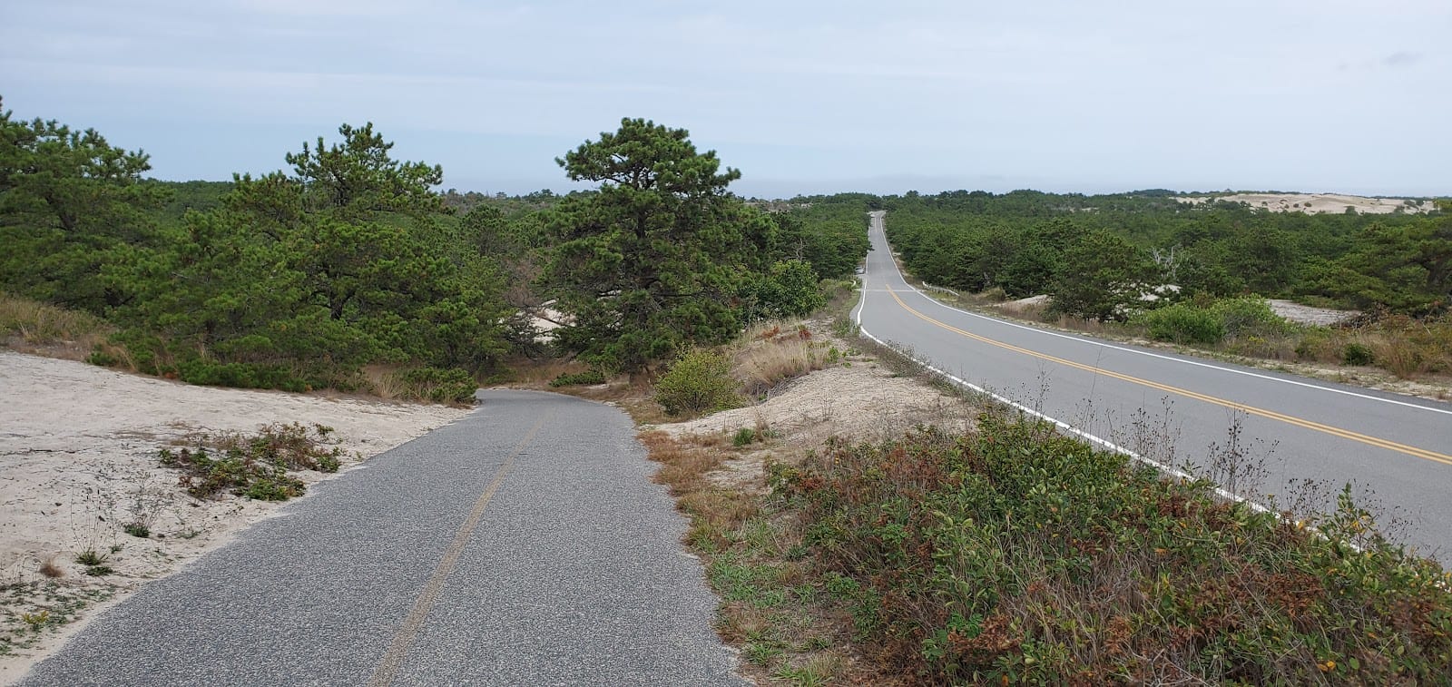 Province Lands Bike Trail in Provincetown