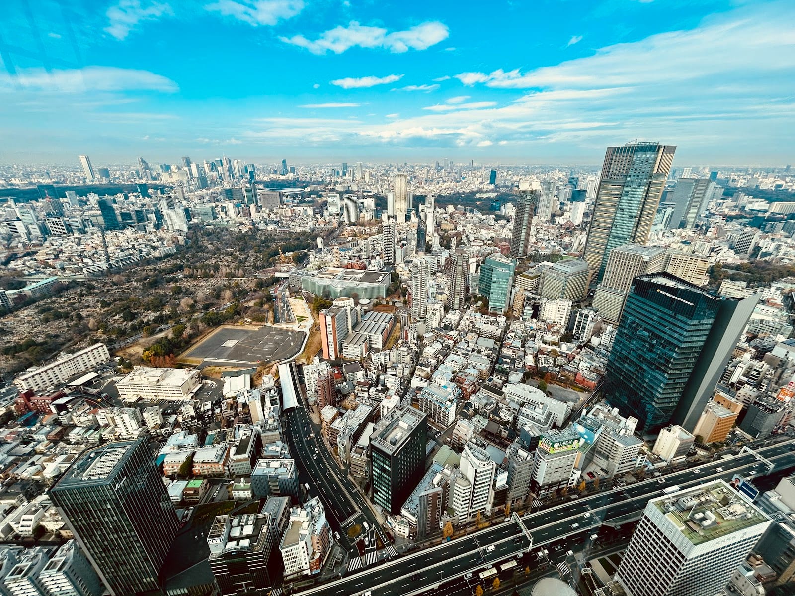Daytime Tokyo stretching to the horizon from Tokyo City View.