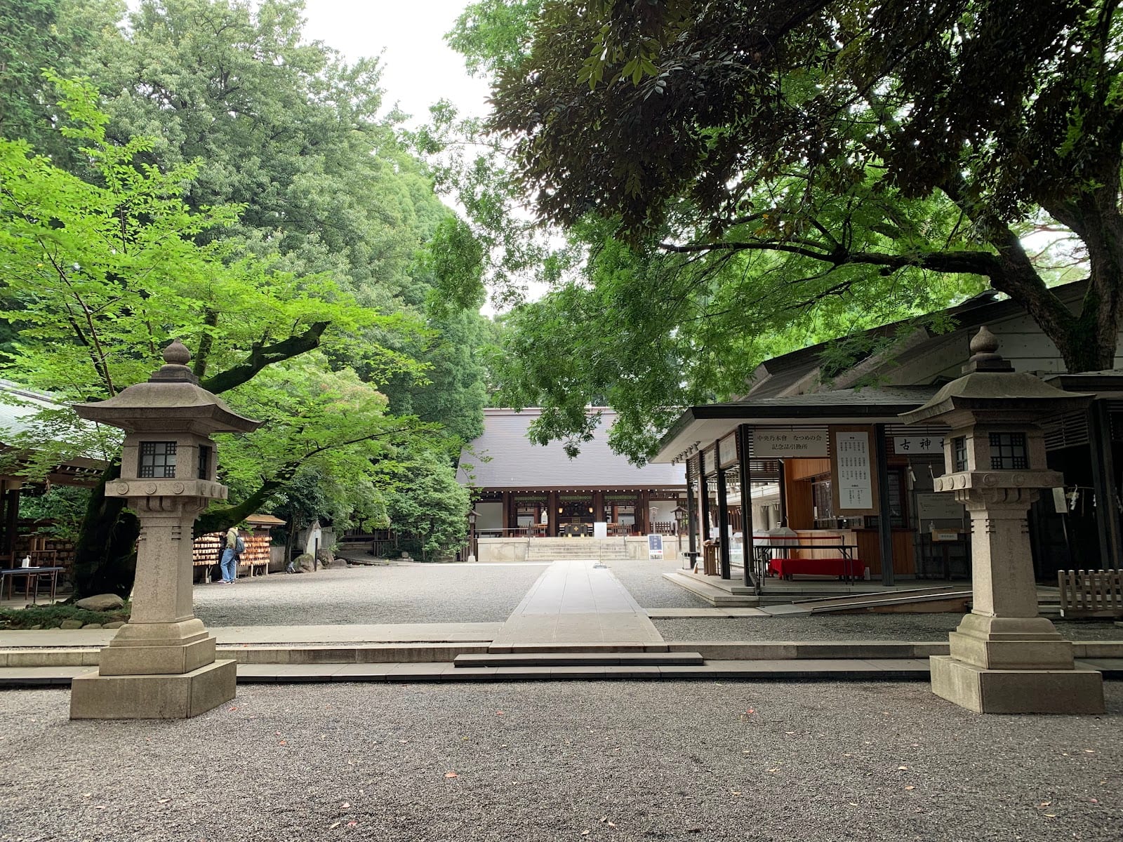 A stone lantern on the quiet, leafy grounds of Nogi Shrine.