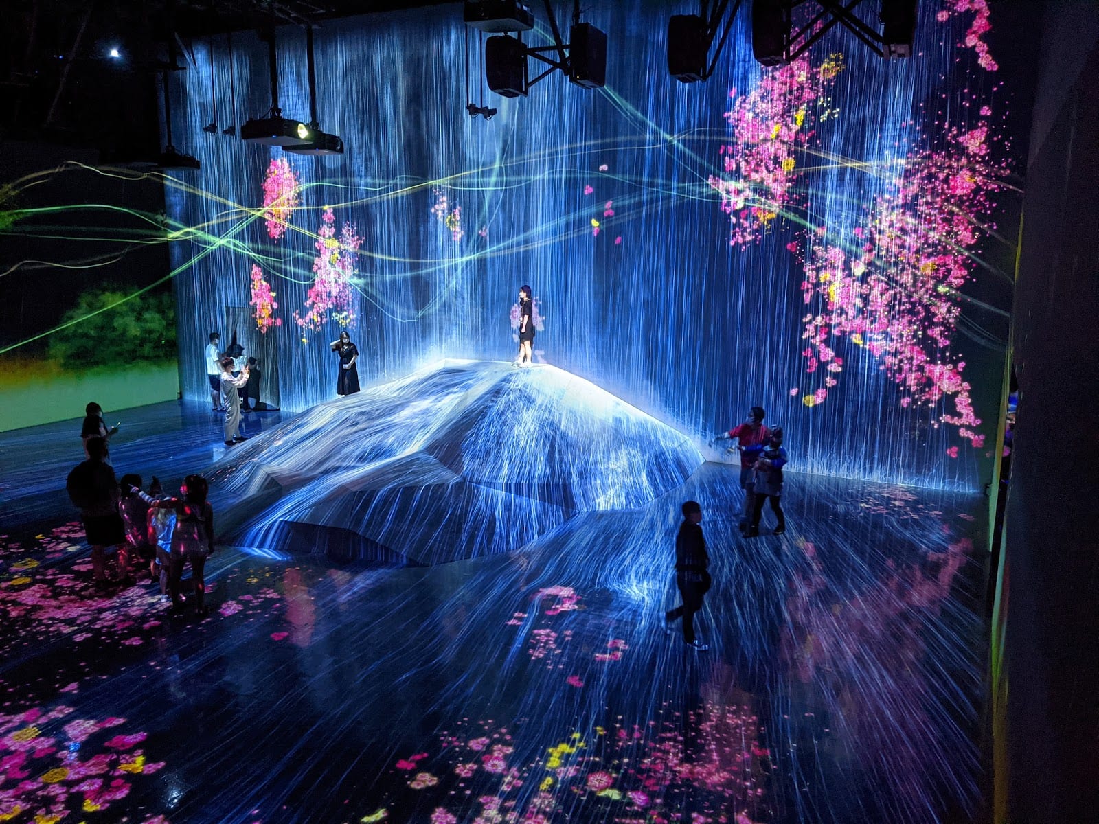 A projected waterfall and flowers wash over a dark gallery at teamLab Borderless.