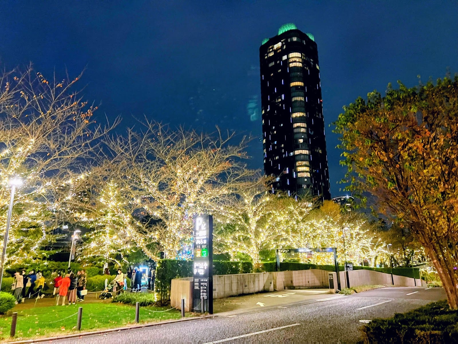 Tokyo Midtown's main tower behind illuminated trees.