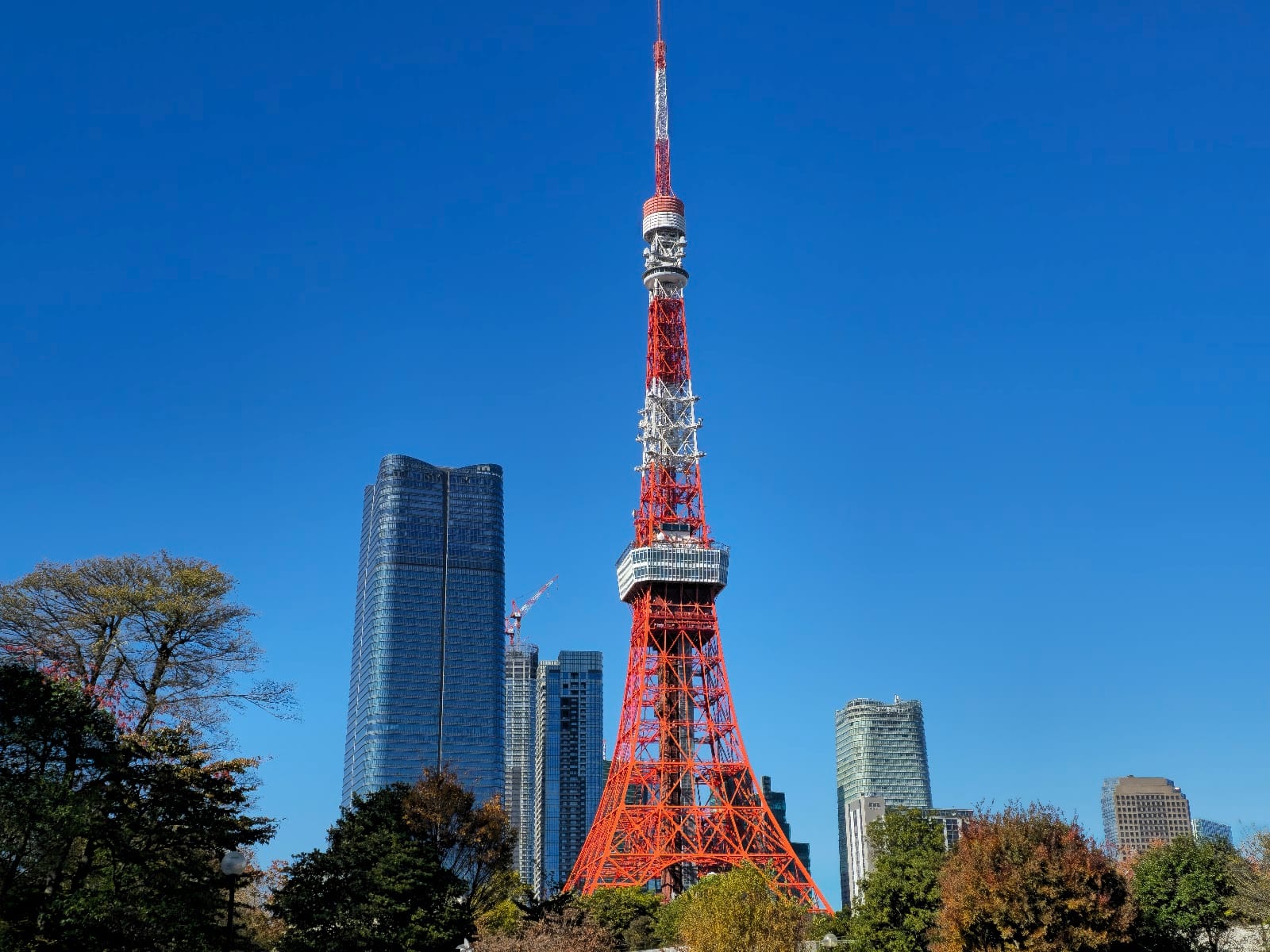 Tokyo Tower in orange and white rising above the trees.