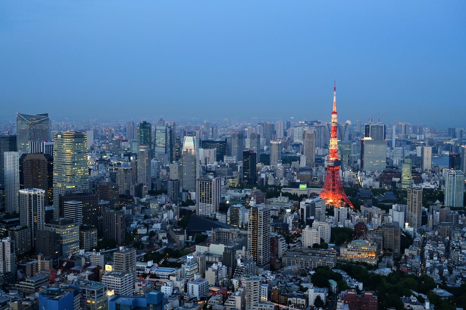 Tokyo Tower glowing in the wider Tokyo skyline at night.