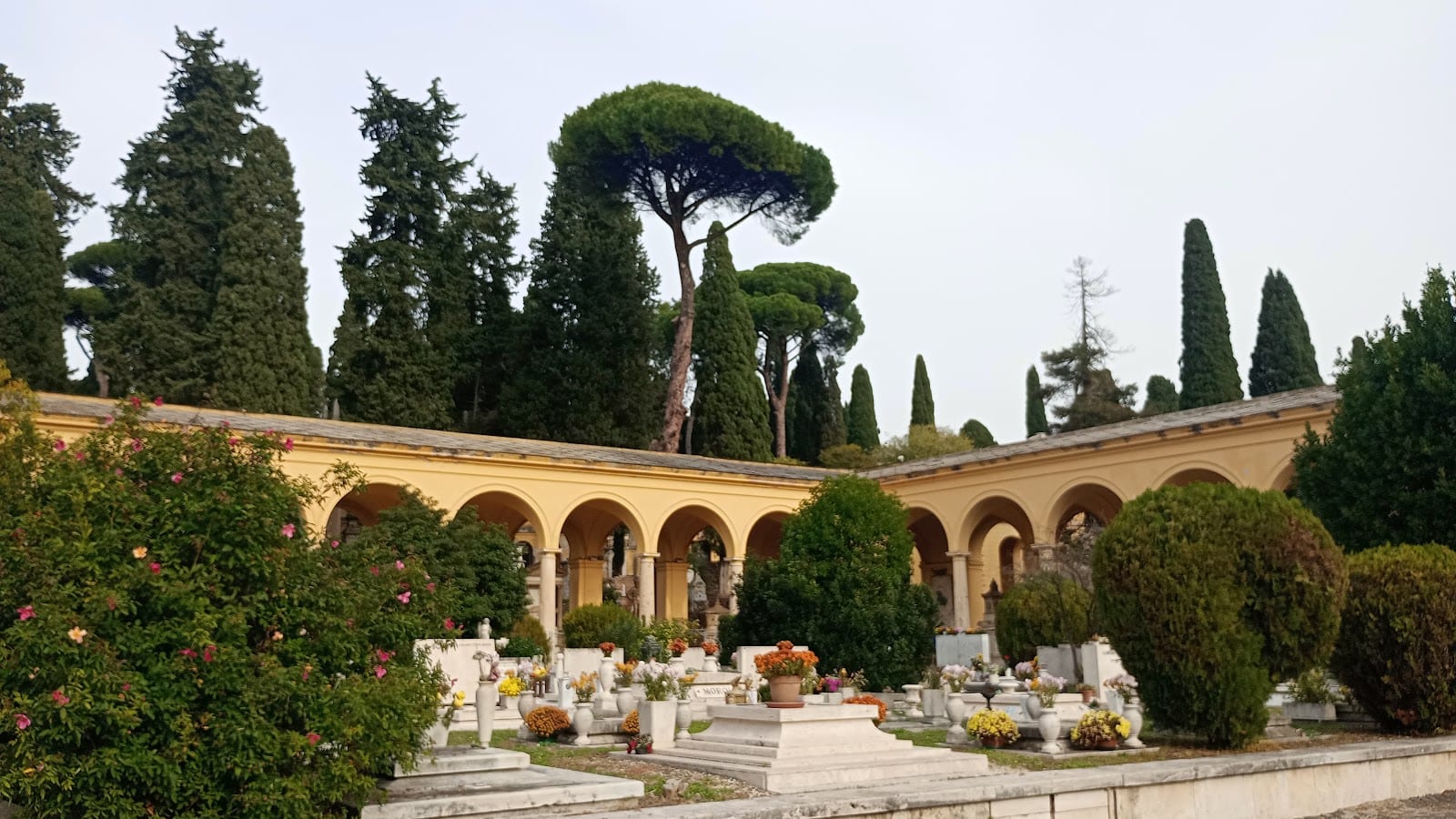 Umbrella pines and arcades over the graves at Campo Verano.