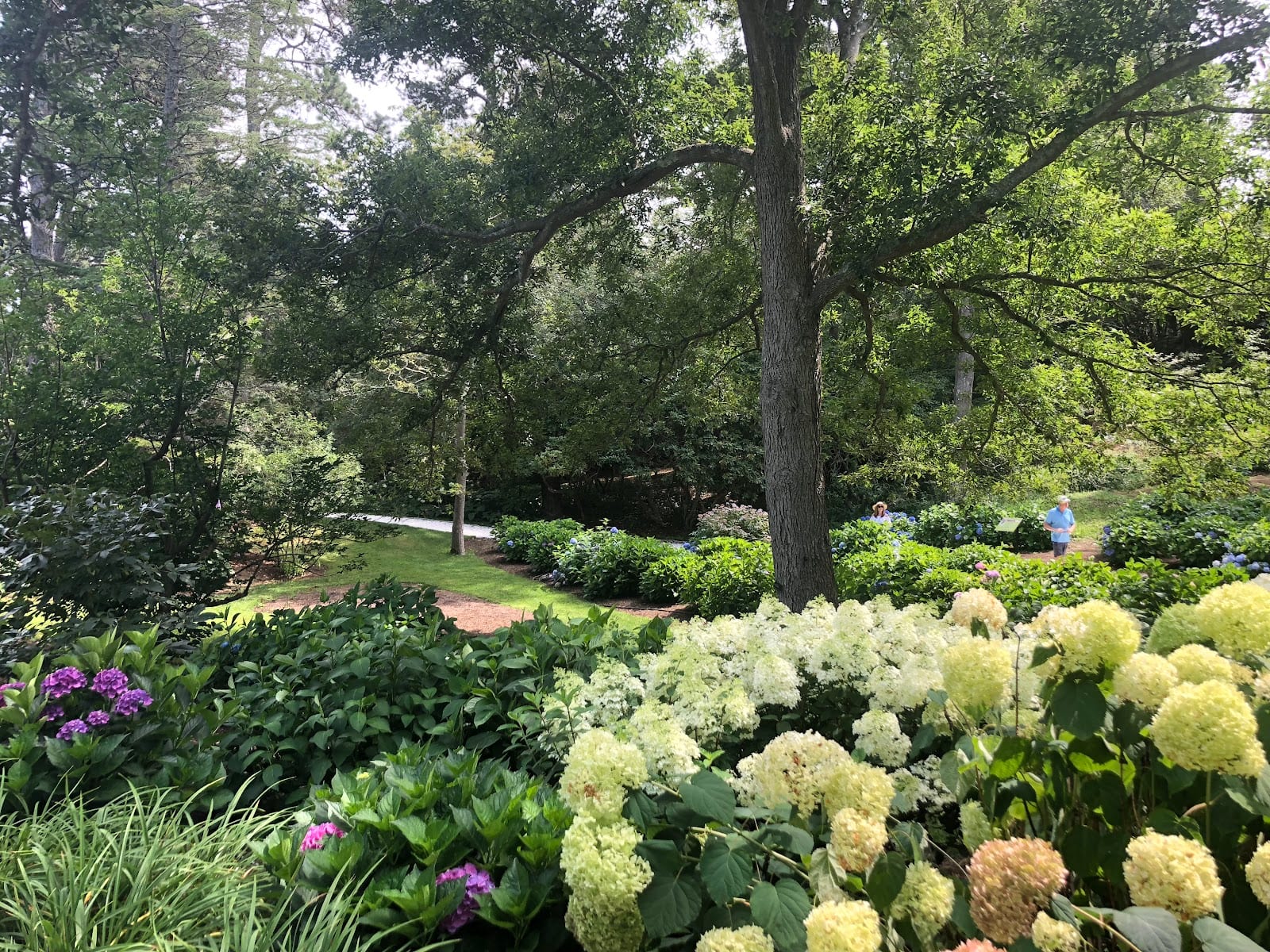 Heritage Museums & Gardens in Cape Cod