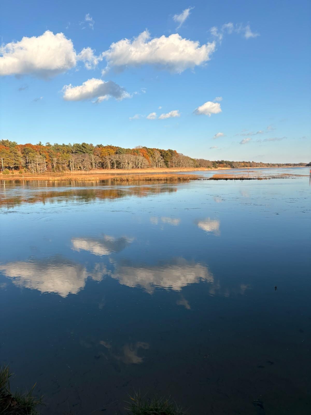 Scorton Creek Marsh Trail in Cape Cod