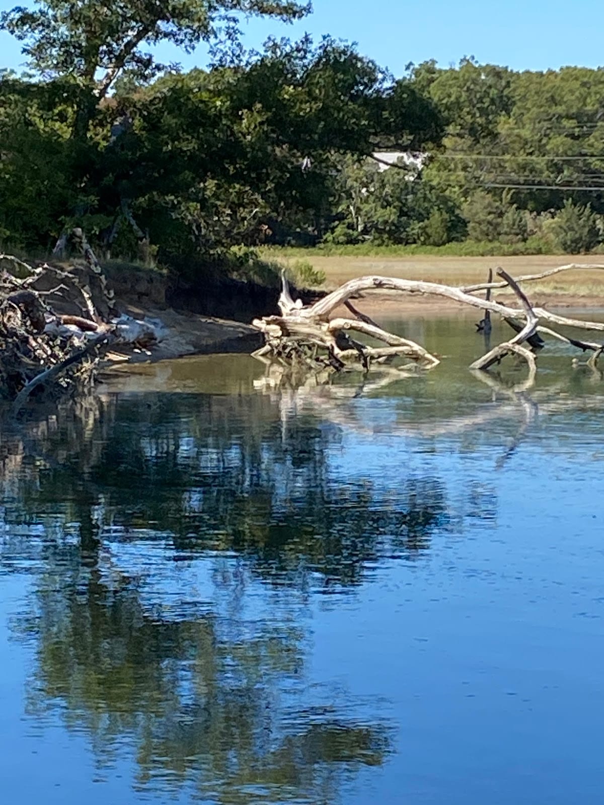 Scorton Creek Marsh Trail in Cape Cod