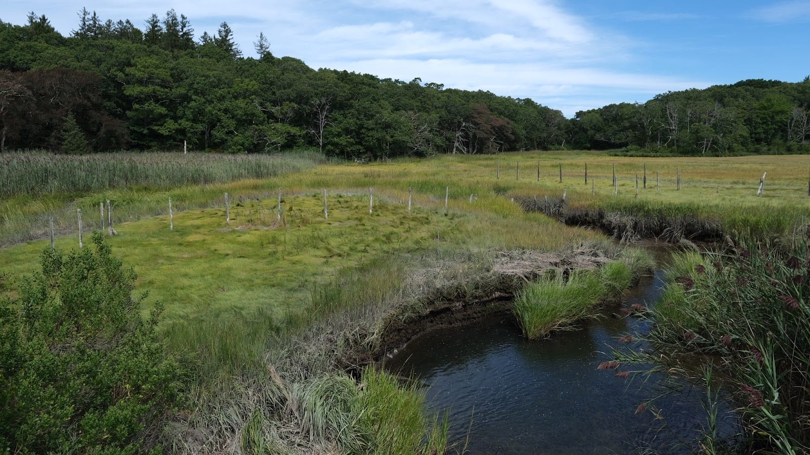 Scorton Creek Marsh Trail in Cape Cod