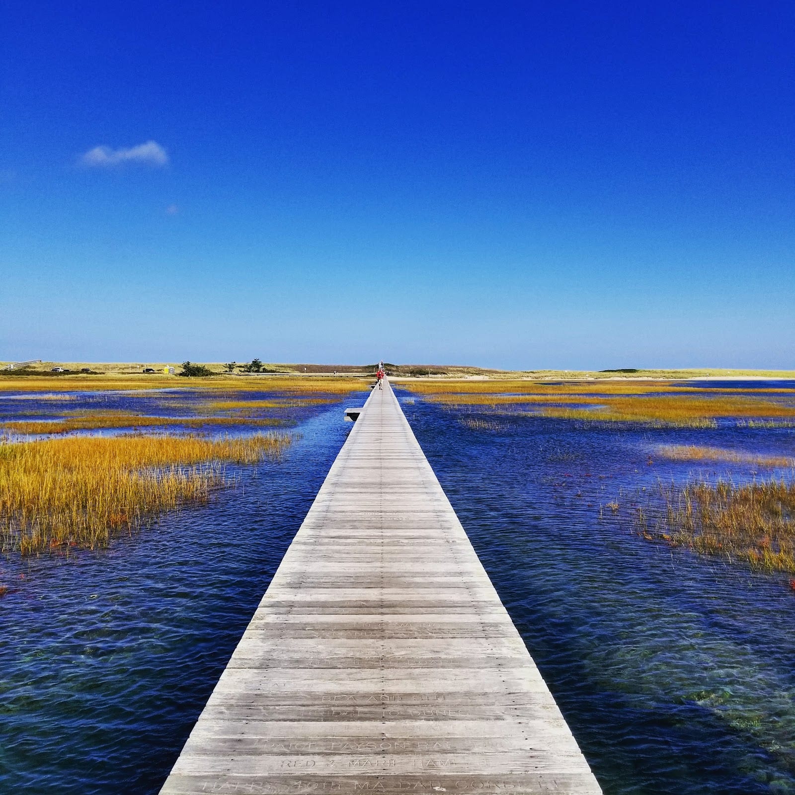 Town Neck Beach Boardwalk in Cape Cod