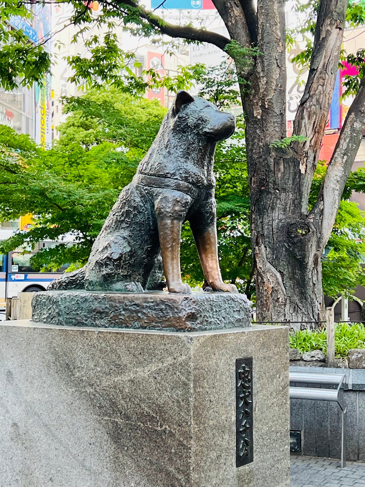 The Hachiko statue beneath a tree by the station forecourt.
