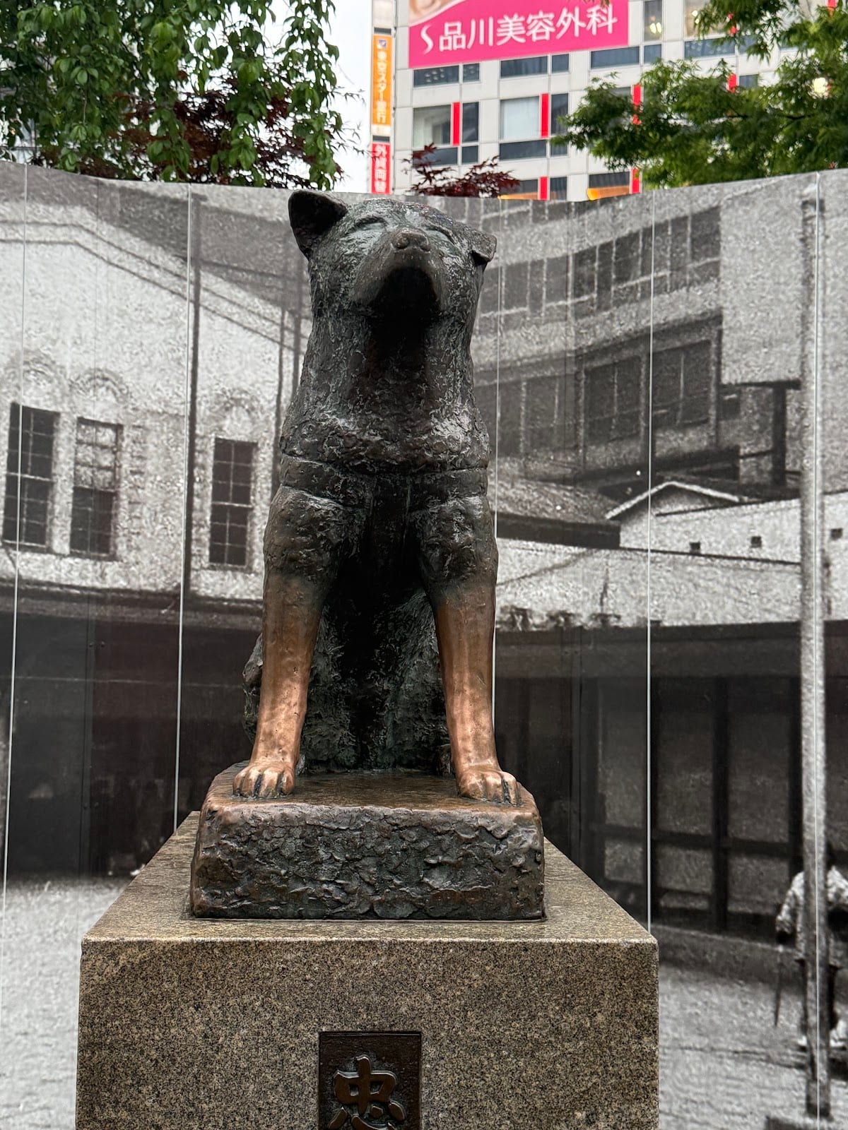 The Hachiko statue in a black-and-white street scene.