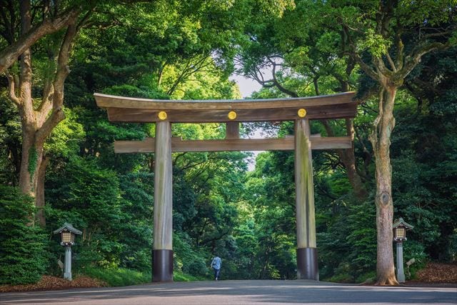 The wooden torii at Meiji Jingu, beside Harajuku.