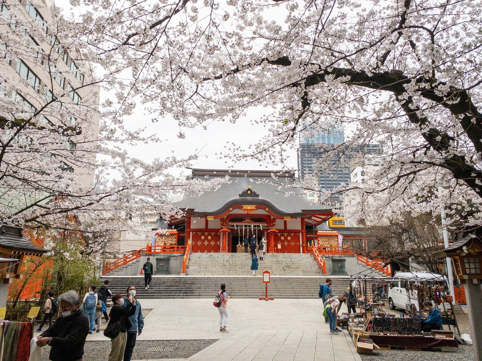 Cherry blossoms framing the vermilion hall of Hanazono Shrine.