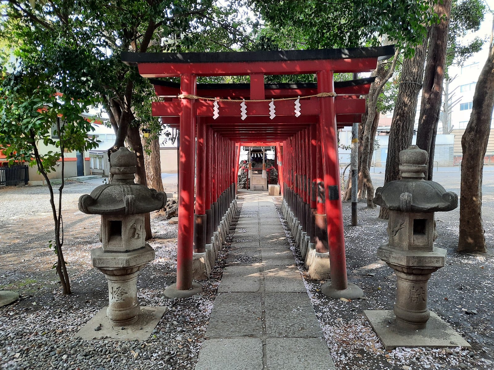 A row of red torii gates on the approach to Hanazono Shrine.
