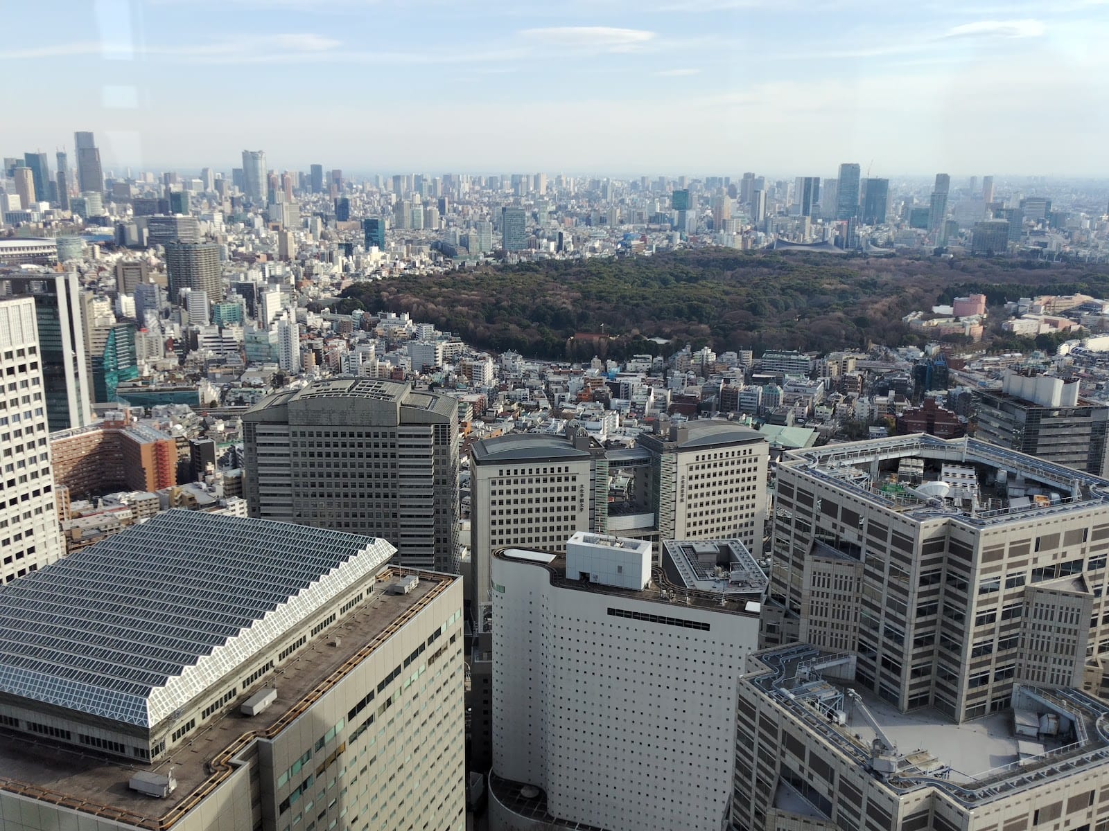 The view over Shinjuku and a green park from the building's free observation deck.