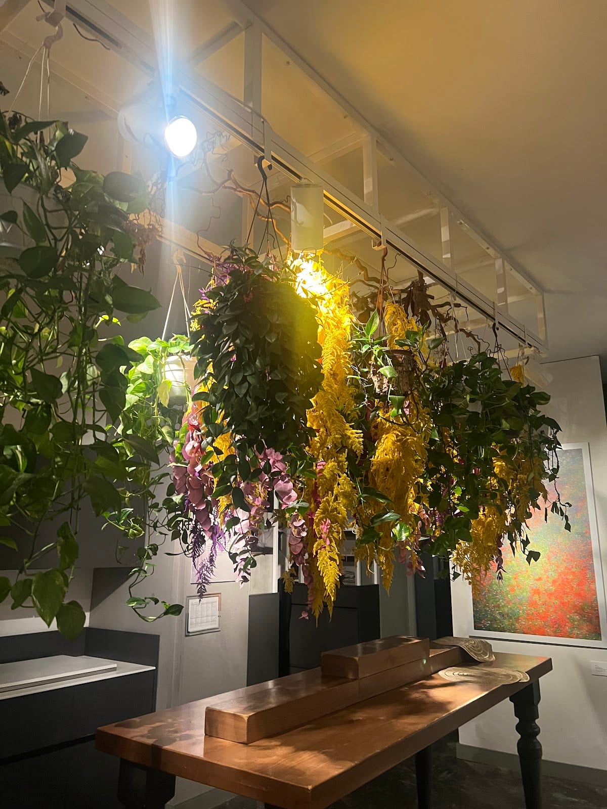 The plant-filled interior of Il Margutta.