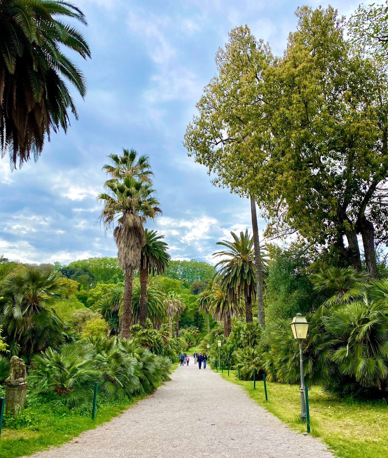 Palms and greenery in the Orto Botanico di Roma.