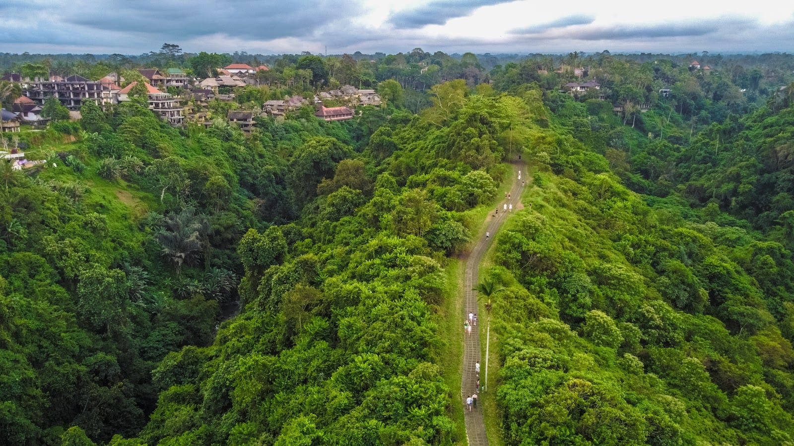 Campuhan Ridge Walk in Bali