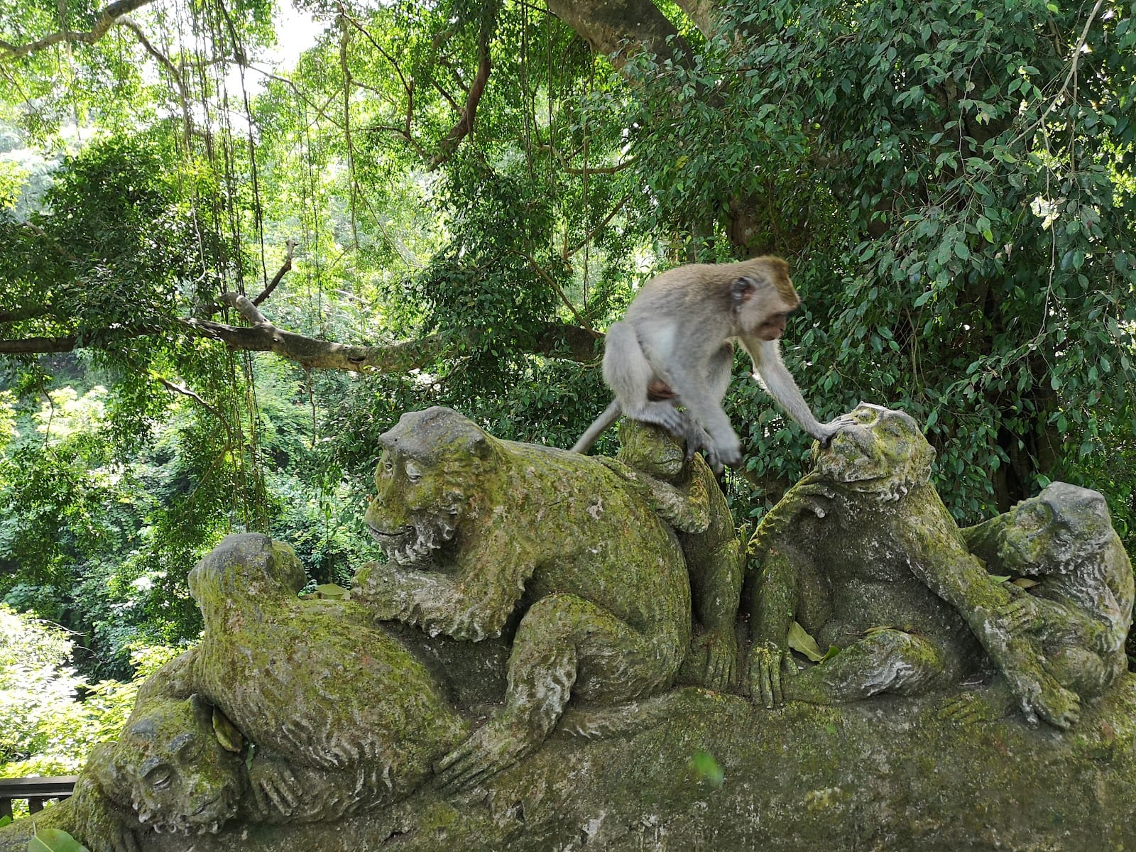 Sacred Monkey Forest Sanctuary in Bali