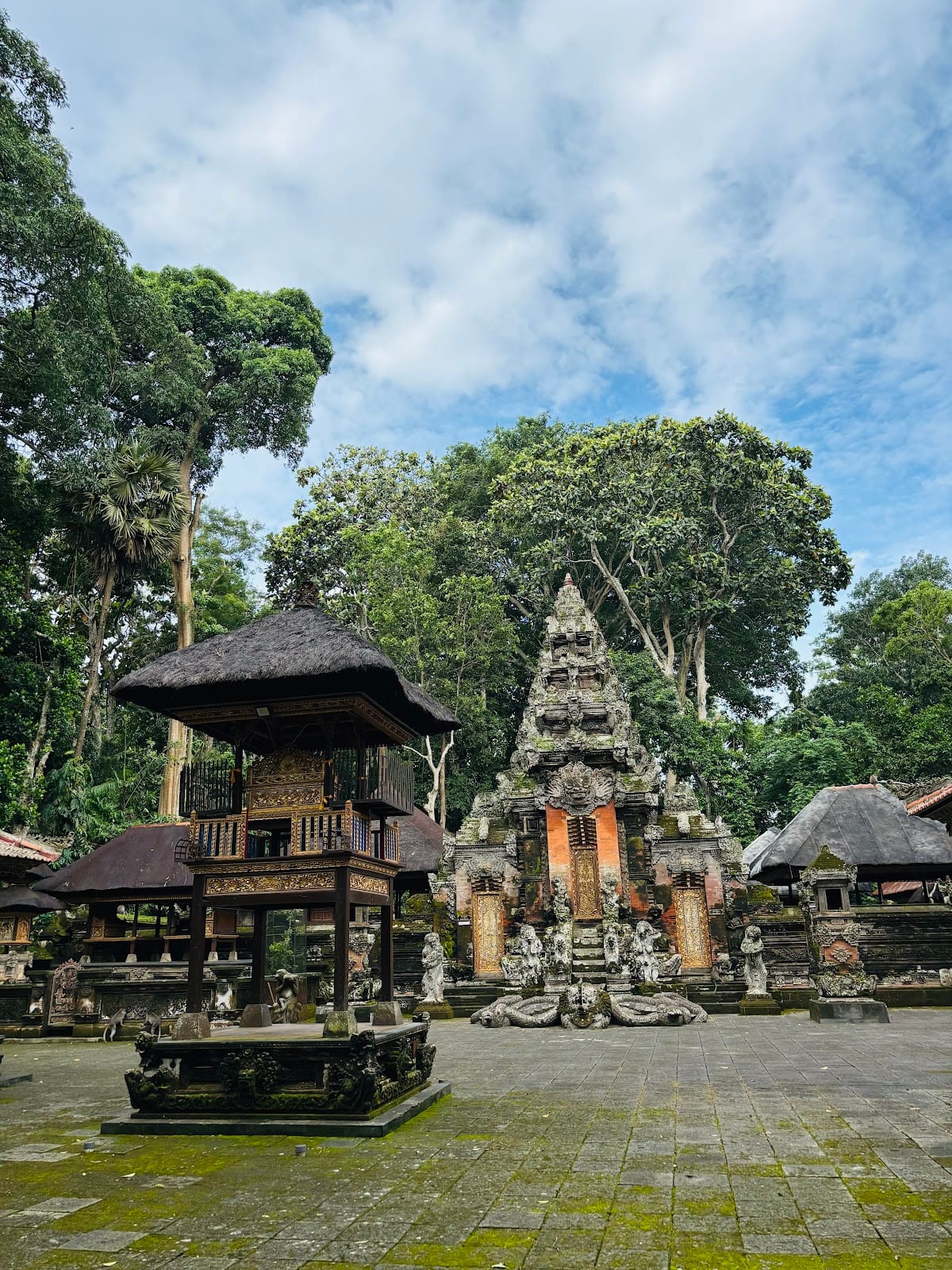 Sacred Monkey Forest Sanctuary in Bali