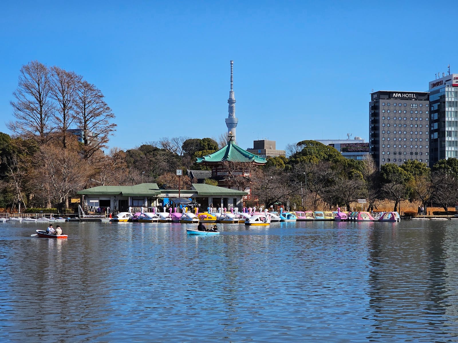 Pedal boats on Shinobazu Pond with Tokyo Skytree in the distance.