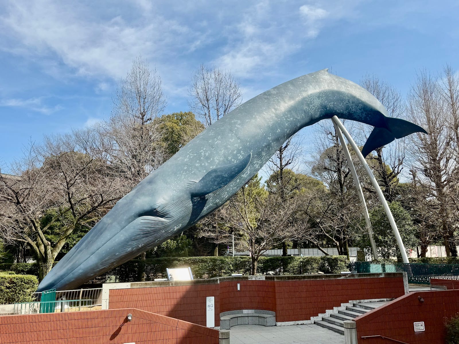 The blue whale sculpture outside the nature and science museum in Ueno Park.