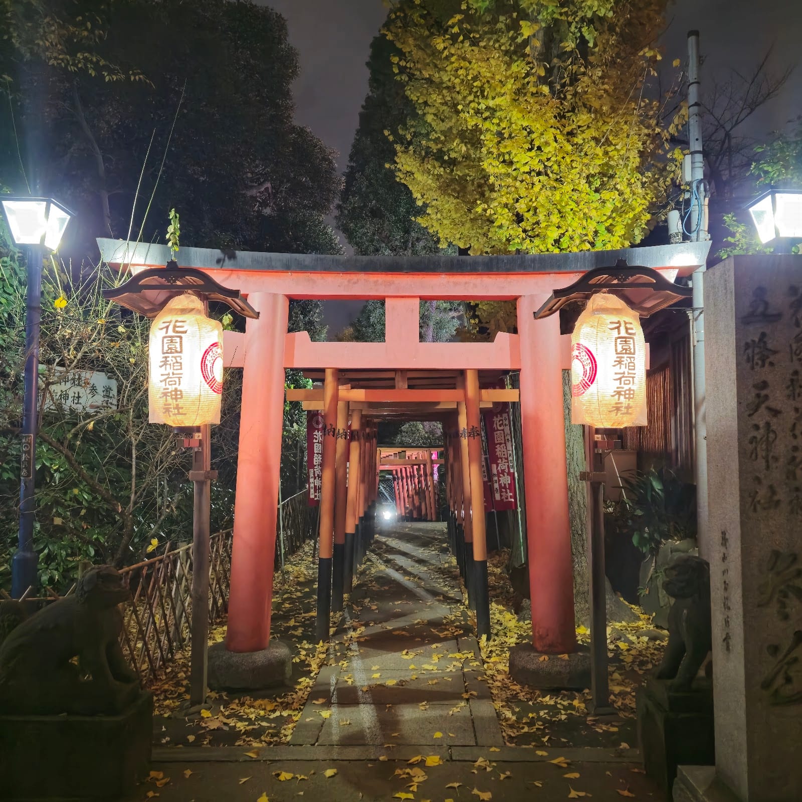 A lantern-lined red torii path at a shrine in Ueno Park.