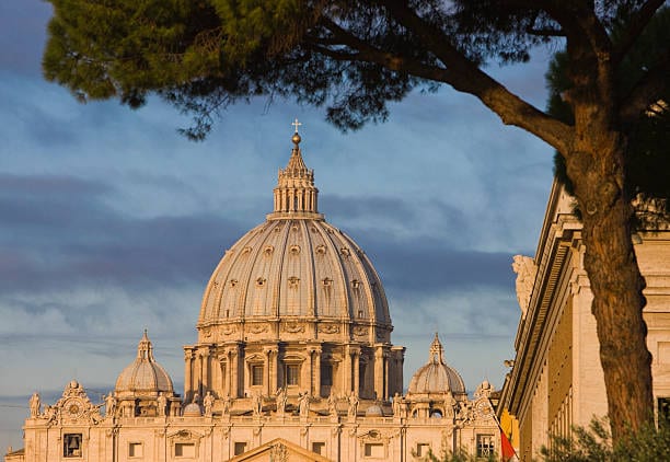 Michelangelo's dome of St Peter's Basilica framed by an umbrella pine.