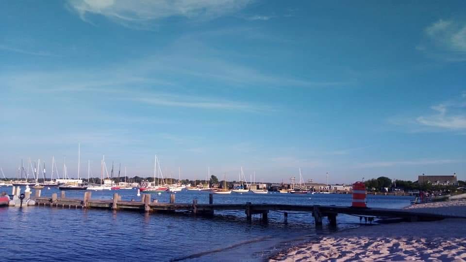 Owen Park and Beach in Martha's Vineyard