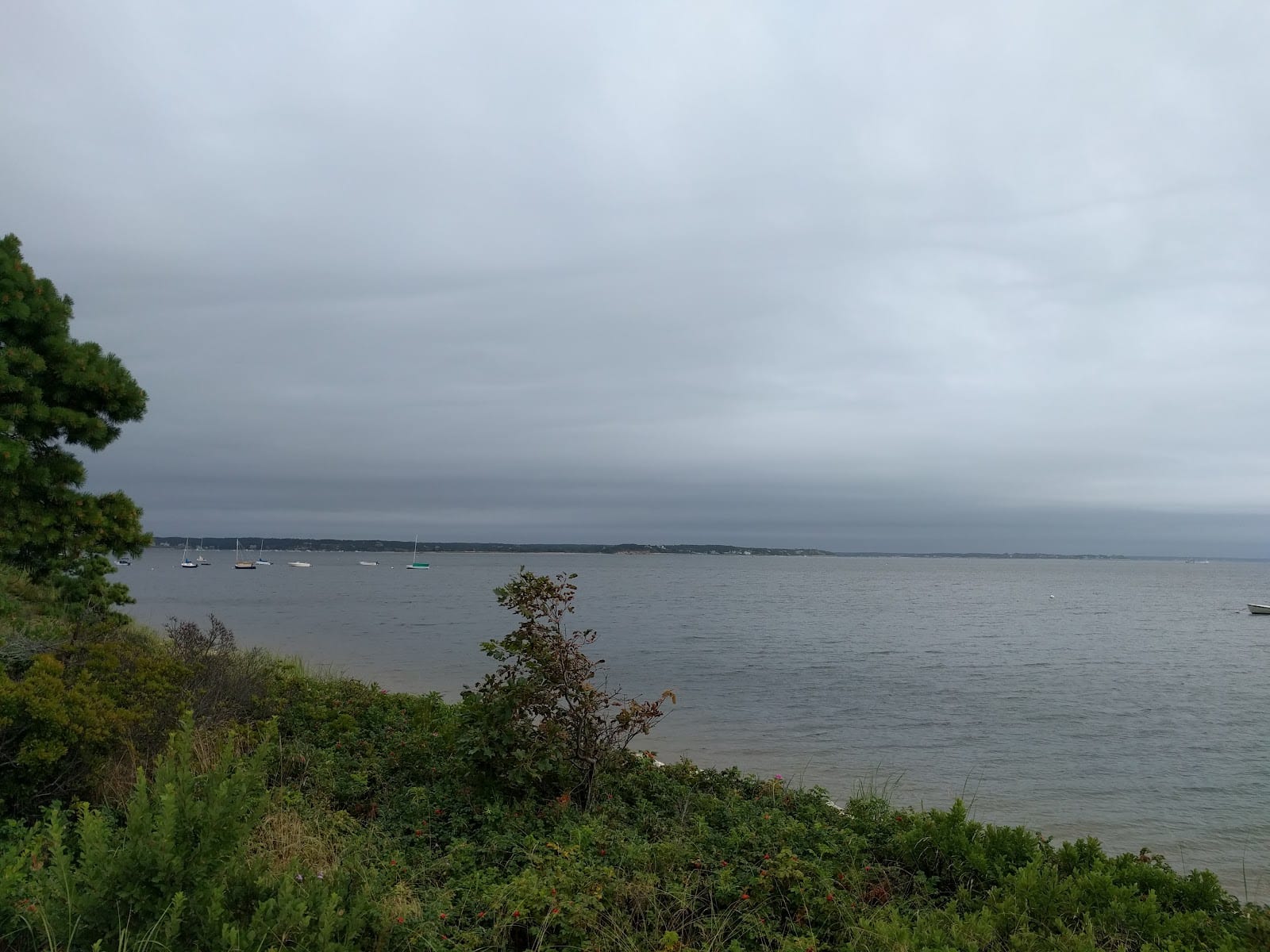 Chequessett Neck Road in Cape Cod