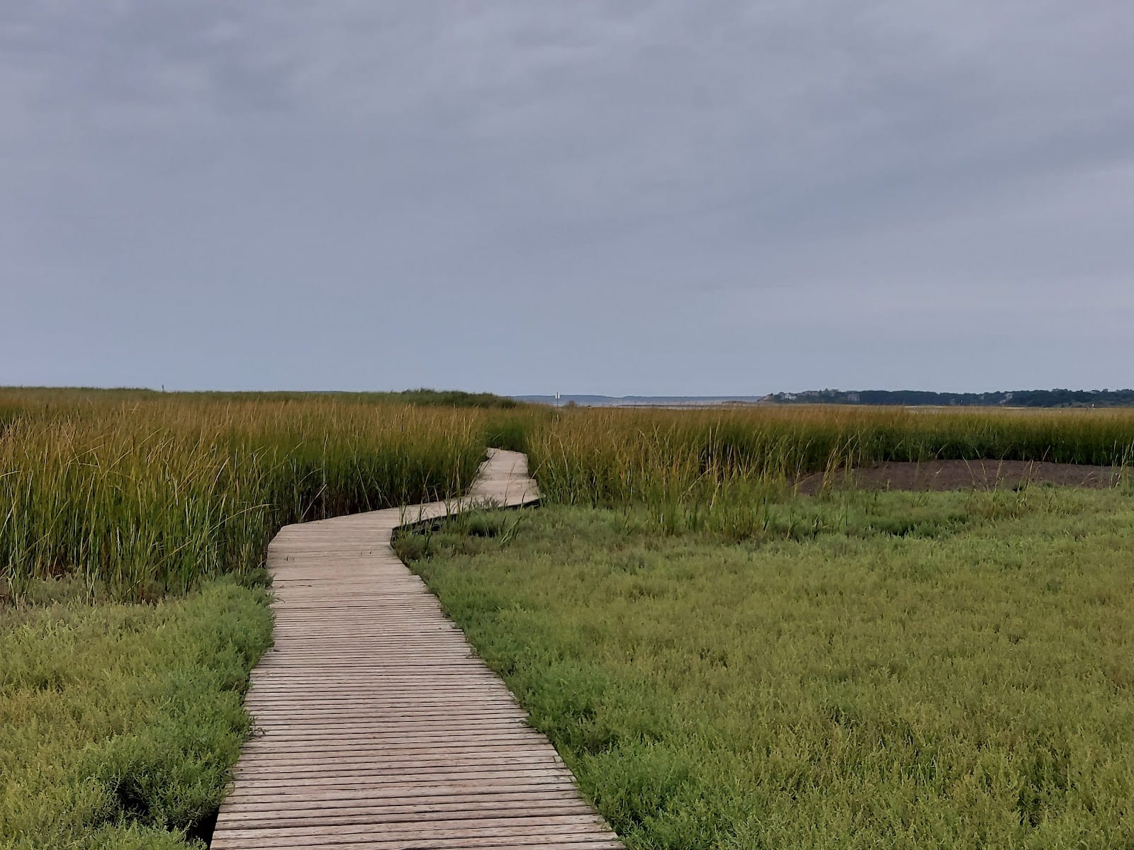 Mass Audubon Wellfleet Bay Wildlife Sanctuary in Cape Cod
