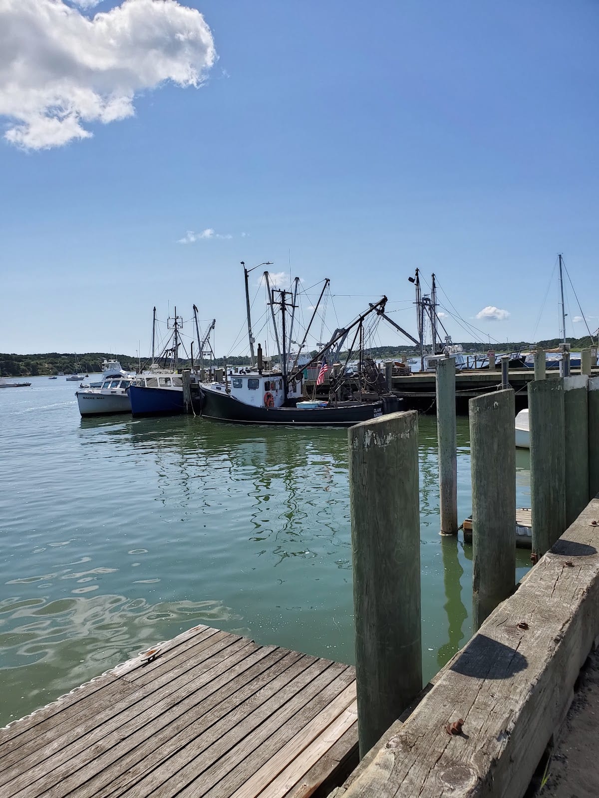 Wellfleet Harbor in Cape Cod