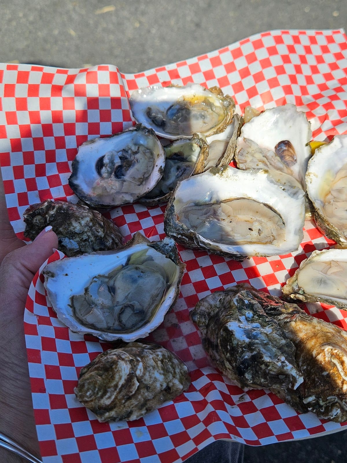 The Wicked Oyster in Wellfleet