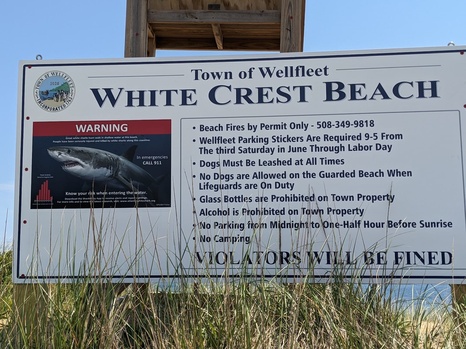 White Crest Beach in Cape Cod