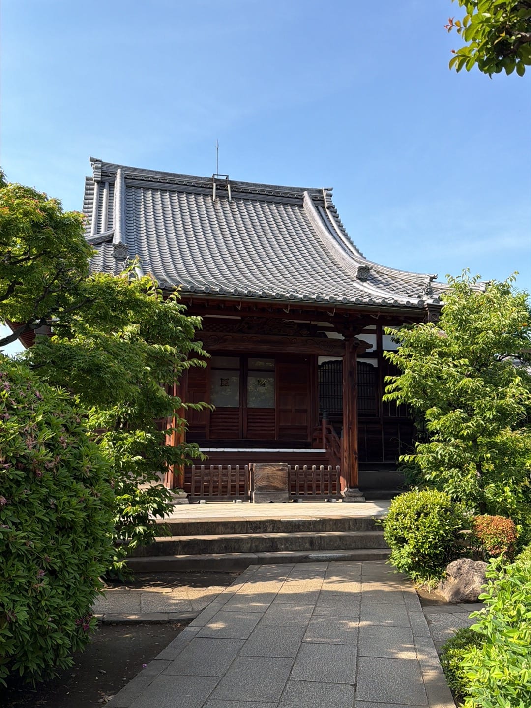 The main hall of Kyo-o-ji temple among the trees.