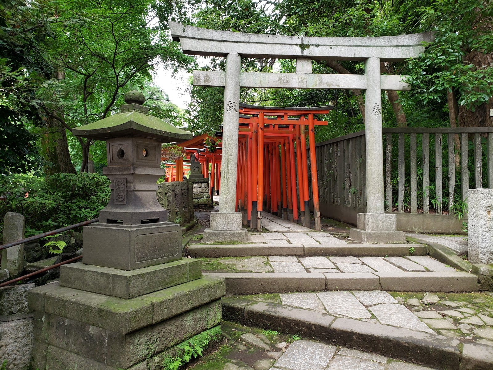 The vermilion torii-gate tunnel at Nezu Shrine.