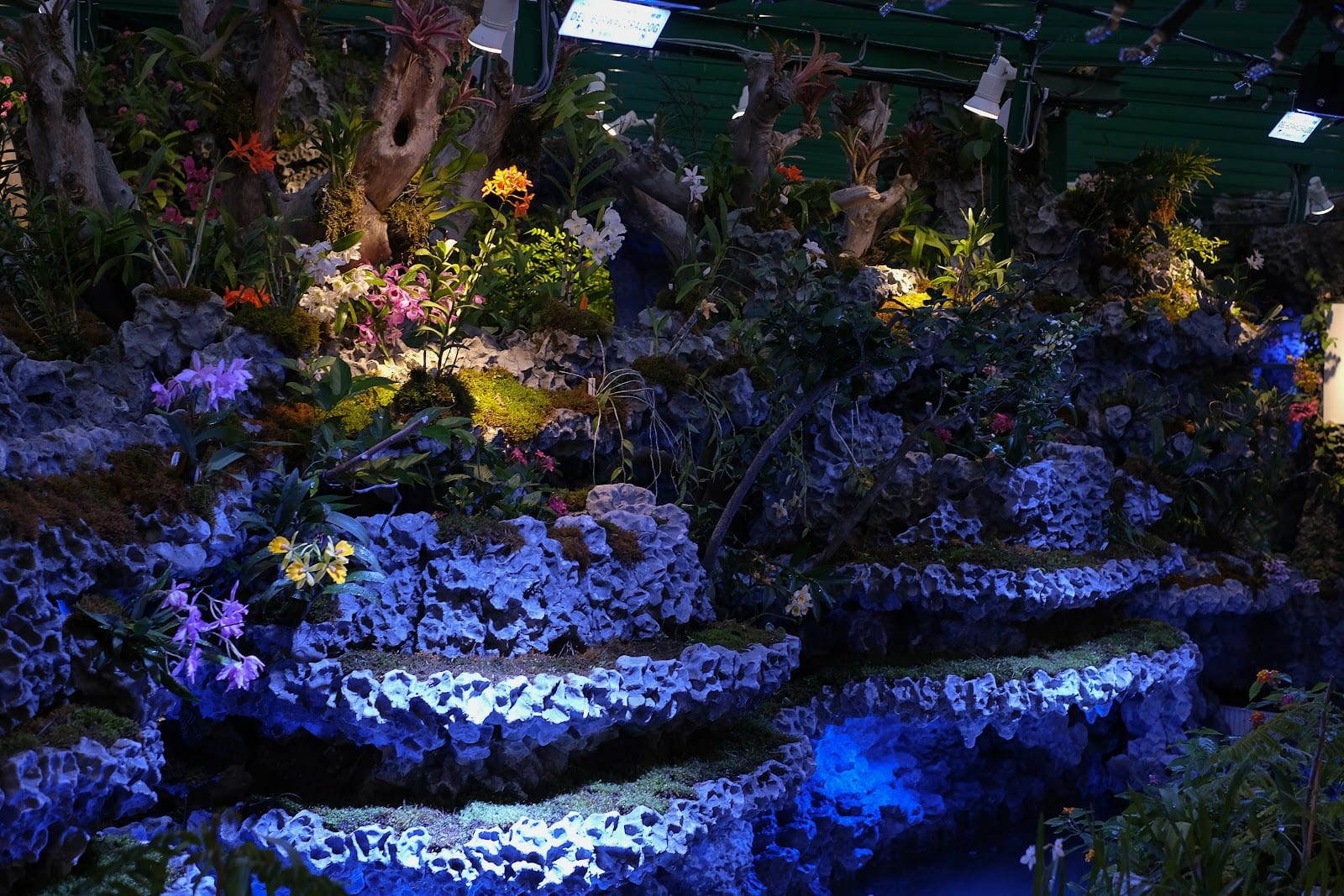 Sango Batake Coral Farm in Okinawa