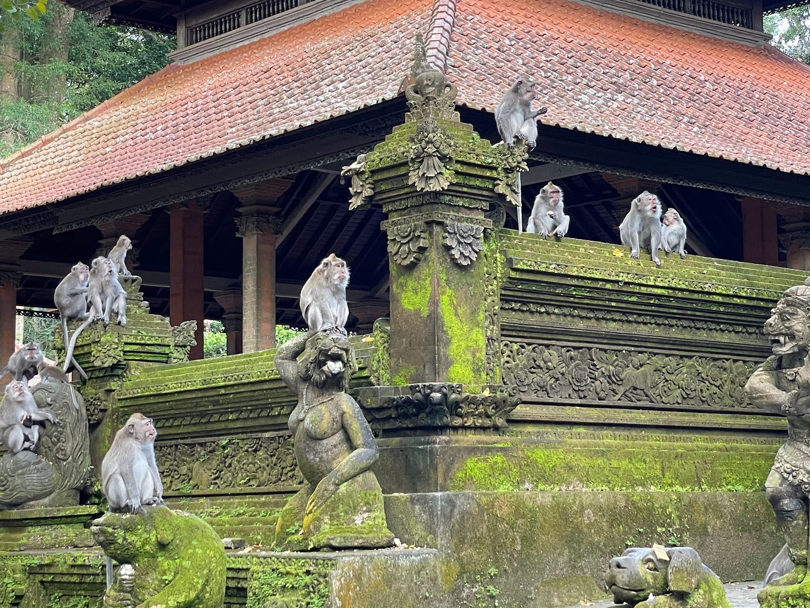 Sacred Monkey Forest Sanctuary in Bali