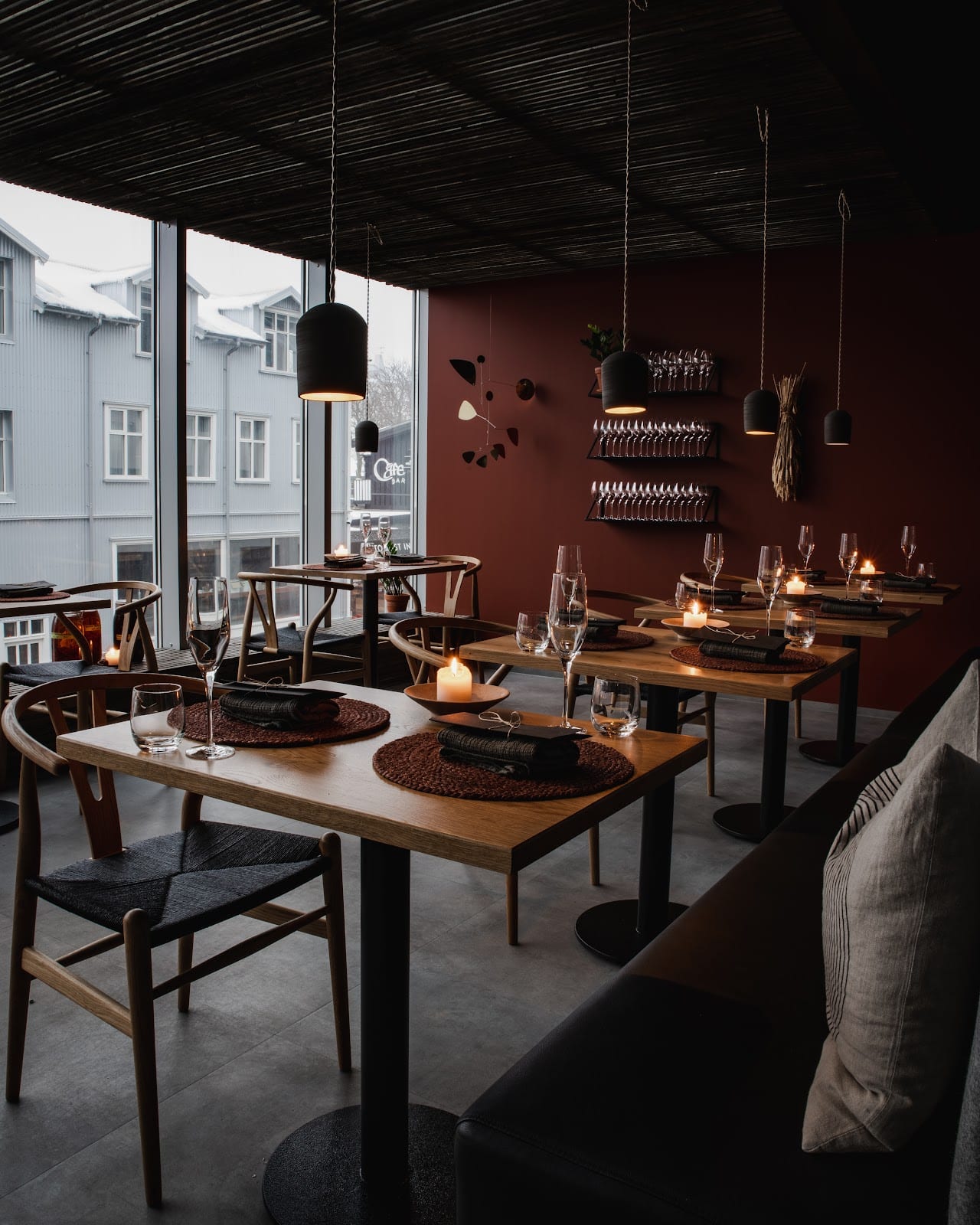 Dill in Reykjavik