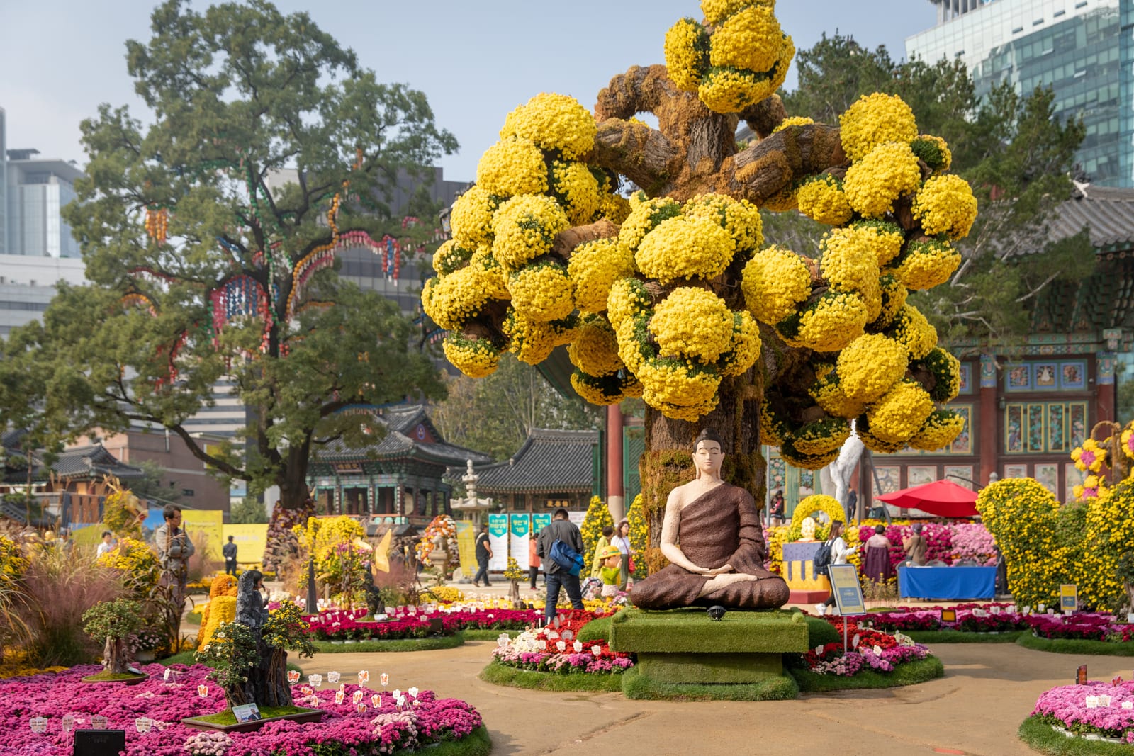 Jogyesa Temple buildings are partly visible behind a large tree covered in yellow chrysanthemums.