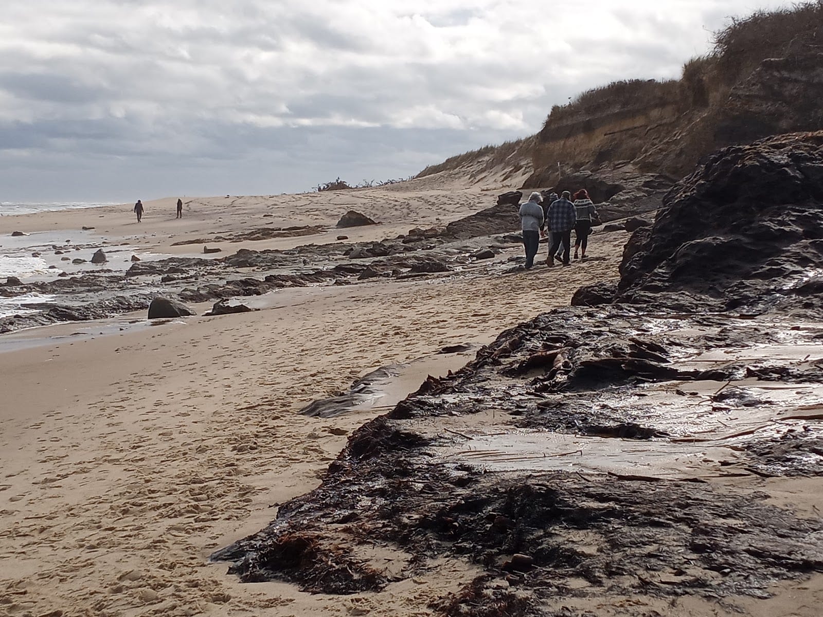 Walkers on the sand below the eroding dune bluff at Coast Guard Beach.