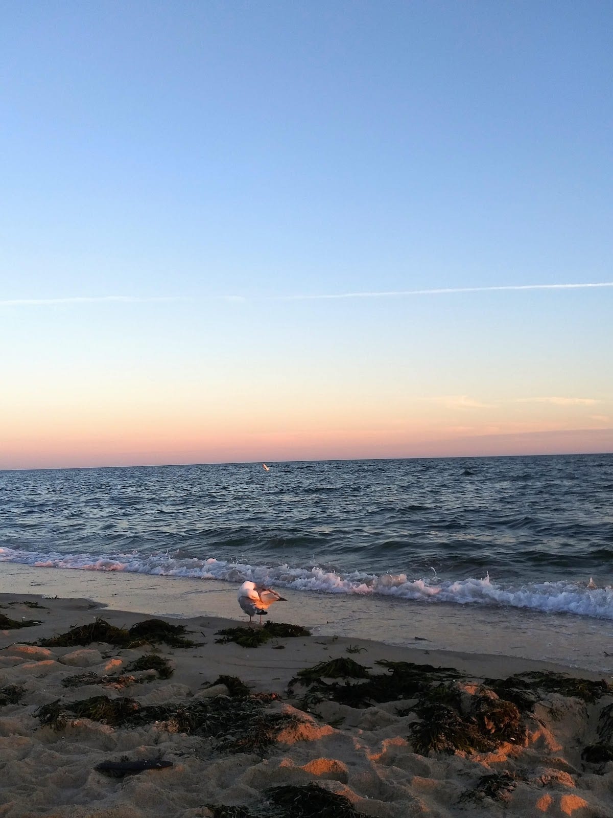 Warm evening light over the water and sand at Craigville Beach.