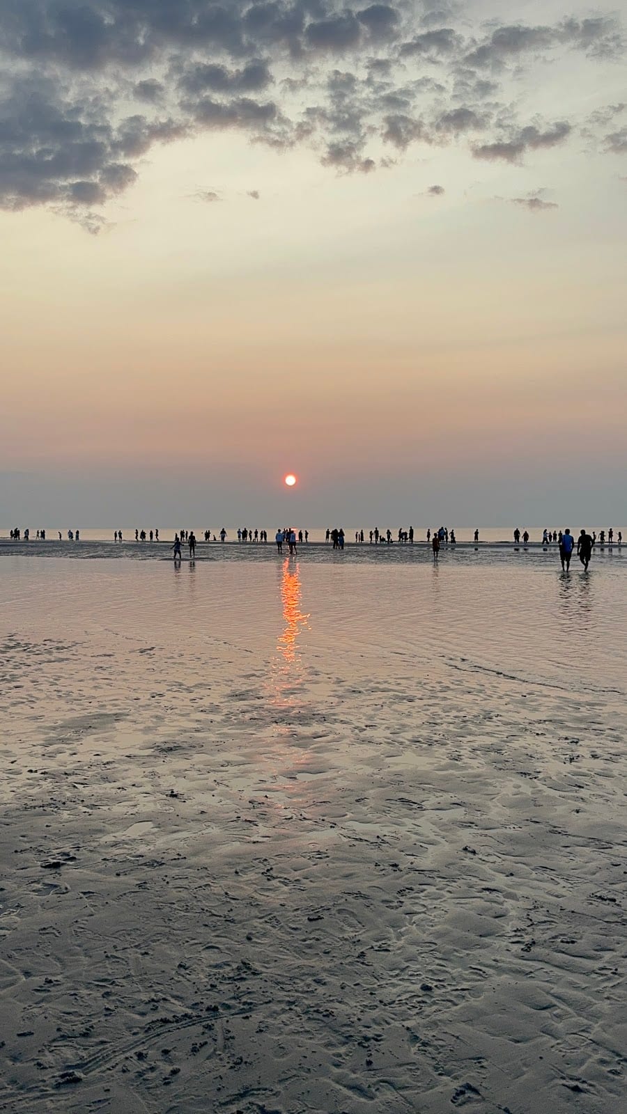 People silhouetted on the tidal flats at sunset at Mayflower Beach.