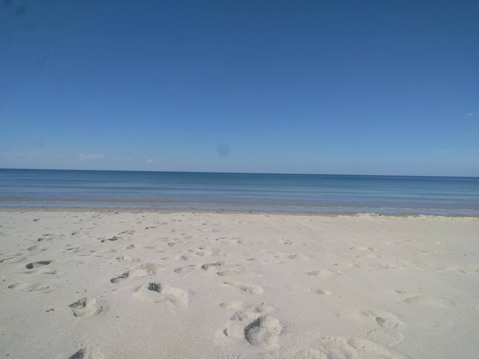 The wide empty sand and calm bay water at Sandy Neck Beach under a clear sky.