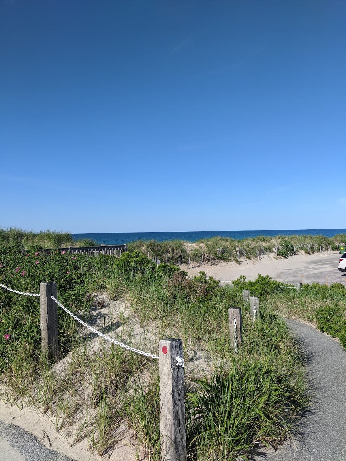 A dune fence and beach grass beside the bay at Sandy Neck Beach.