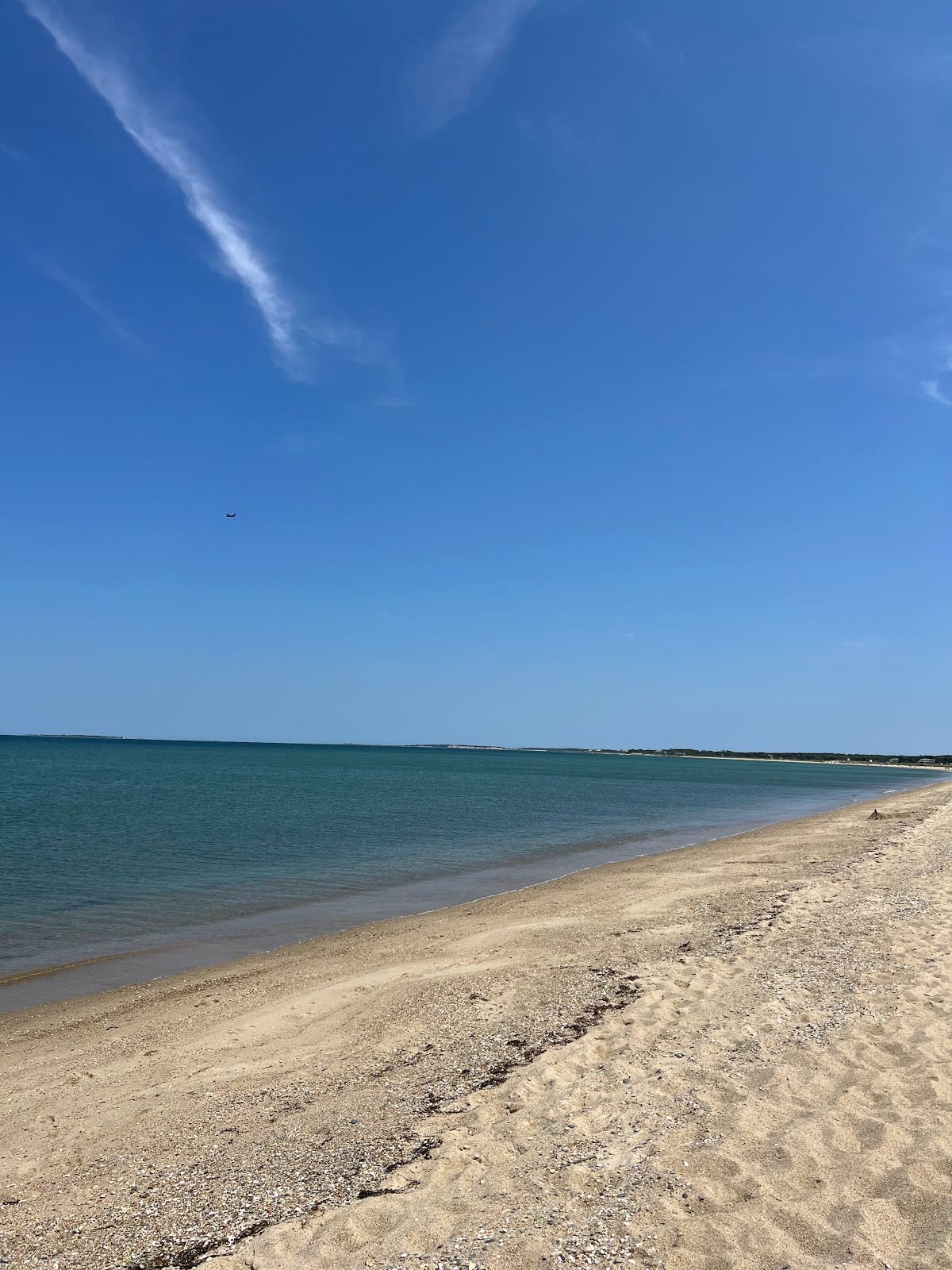 Joseph Sylvia State Beach in Martha's Vineyard