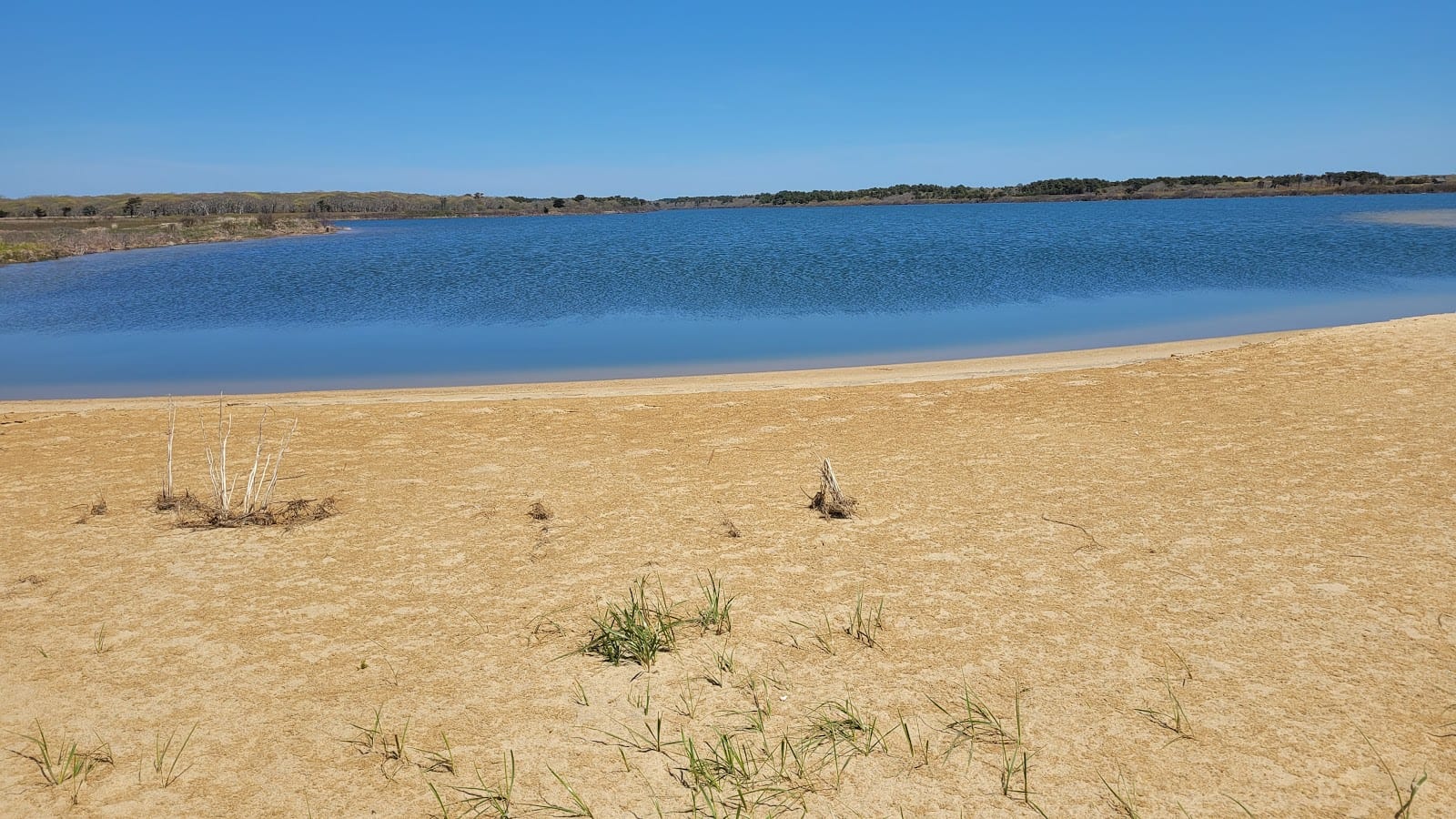 Long Point Beach in Martha's Vineyard