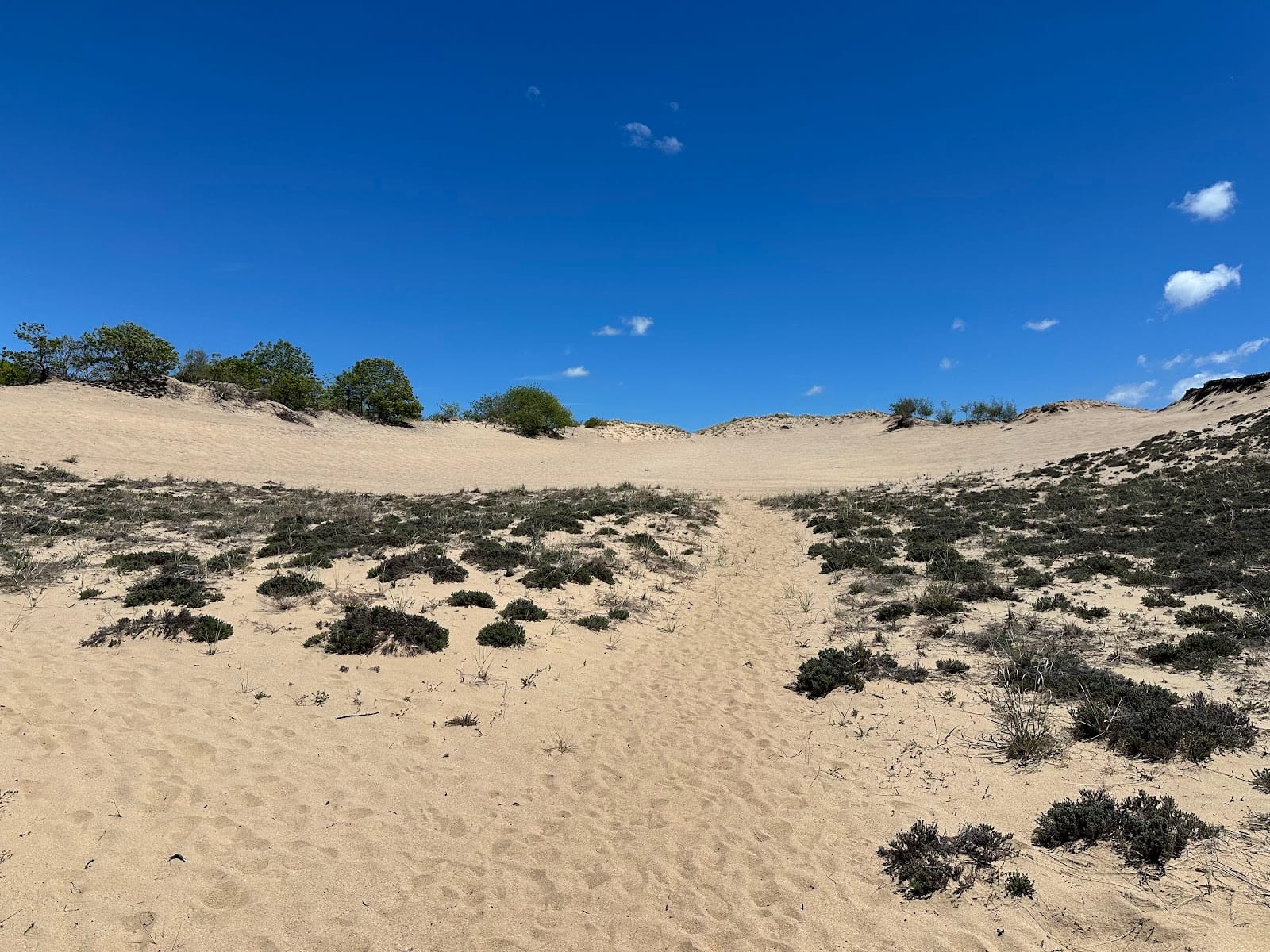 Hither Hills State Park Beach in The Hamptons