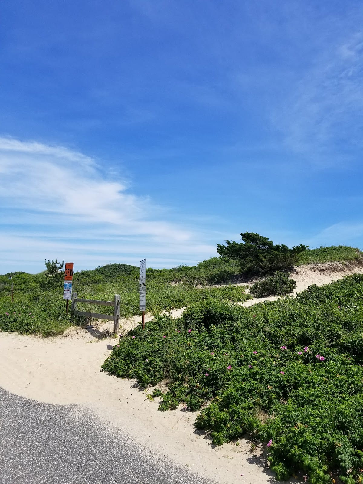 Kirk Park Beach in The Hamptons